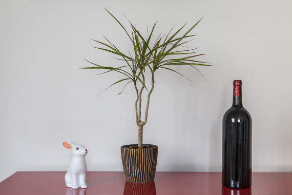 6-detourages-images.